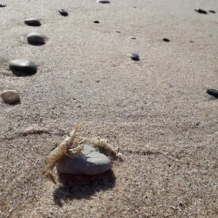 Prázdninový dům Sloneczna Polana *