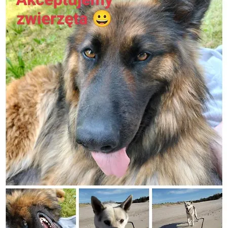 Sloneczna Polana *