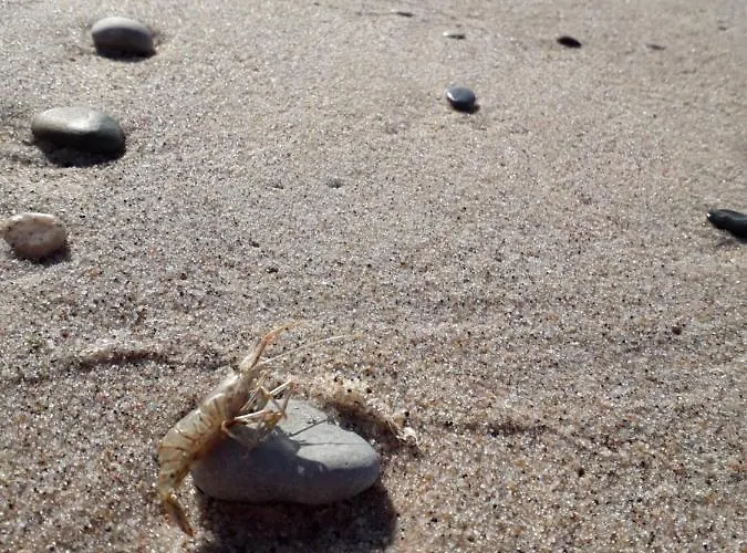 Holiday home Sloneczna Polana *